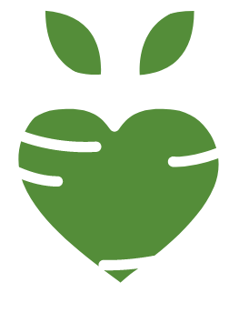 Beet