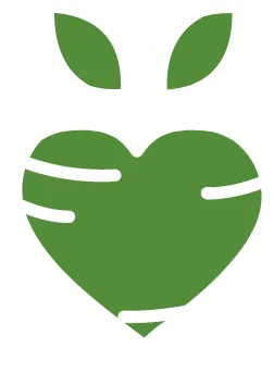 Beet